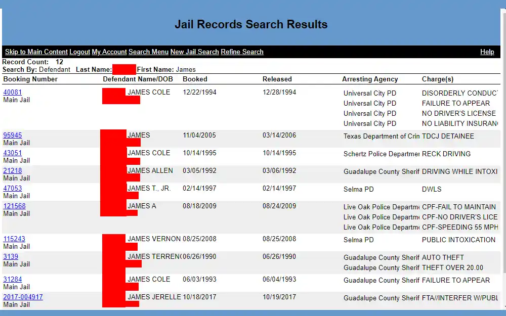 A screenshot of the sample Jail Records Search Results listing the defendants' name, DOB, booking numbers, booking date, release date, arresting agency, and their charges.
